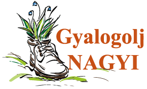 Gyalogolj nagyi